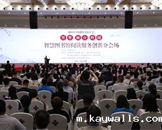 2019年中国图书馆年会- 安的之行