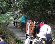 登高望远，砥砺前行 --安的2019团建纪实