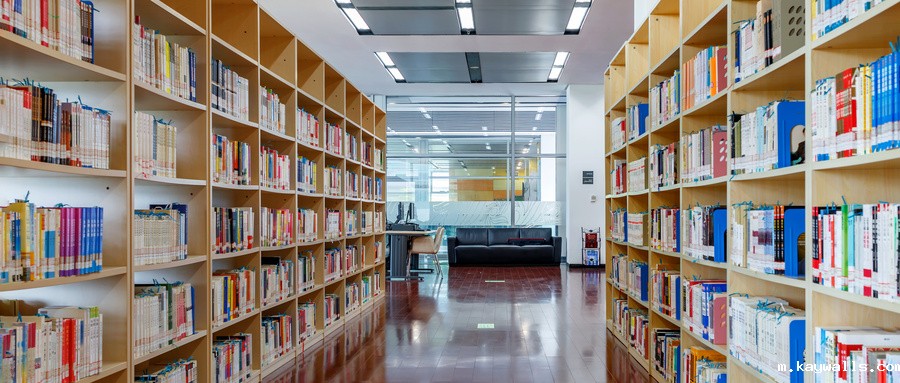 RFID智慧图书馆,微型图书馆,智能书架,防盗安全门,预约书柜,防盗安全门,图书自助借还机,RFID读写器