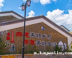 RFID图书馆距离农村基层还有多远？