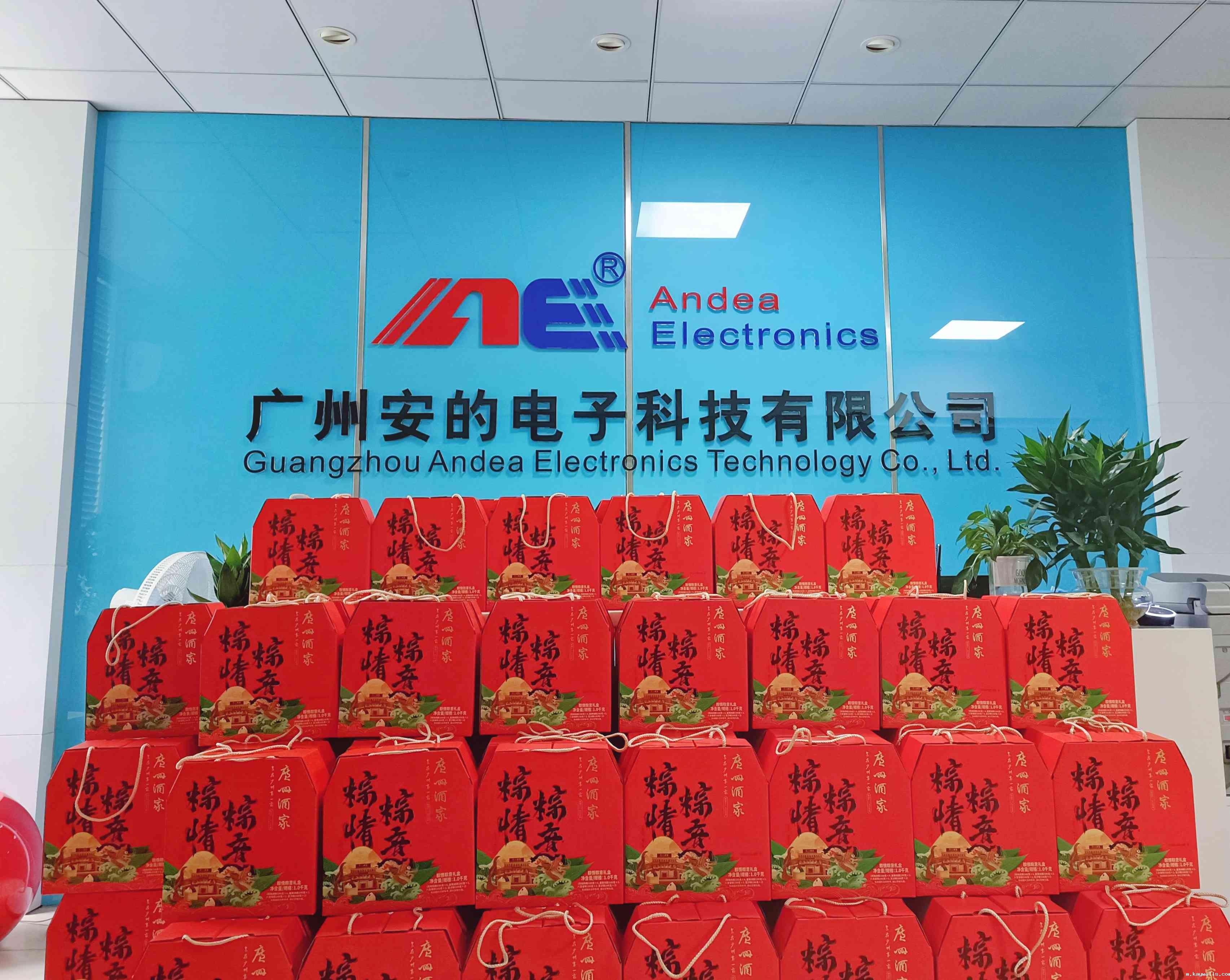 新利18彩票是真的假的