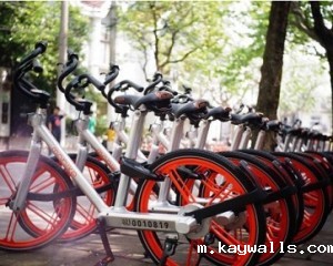 Liu Erhai, an early investor of moBay: when you are strong enough, you don